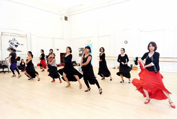 Flamenco Academy of Dance - Kids activities in San Francisco, Palo Alto