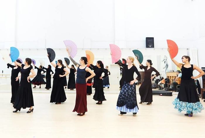 Flamenco Academy of Dance - Kids activities in San Francisco, Palo Alto