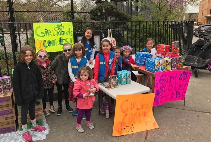 PS 58 The Carroll School- Summer Camp - camps and classes in Brooklyn, NY