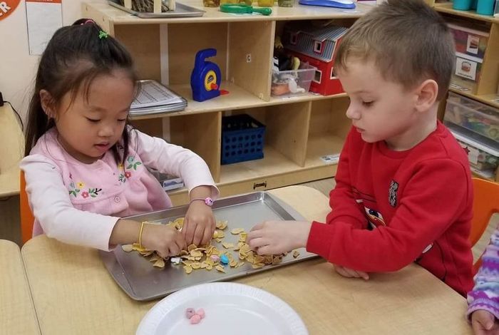 Wiz Kids Learning Center - camps and classes in Brooklyn, NY