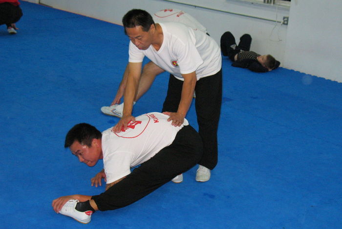 Zhang Yuan Chinese Martial Arts - Kids activities in Brooklyn, NY