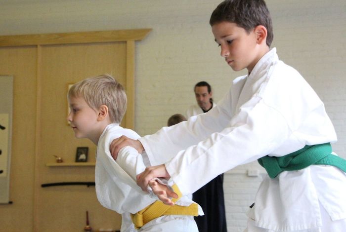 Jikishinkan Dojo - Kids activities in Brooklyn, NY