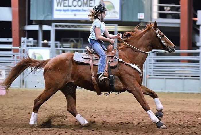 MKO Performance Horses - Kids activities in Trabuco Canyon, CA