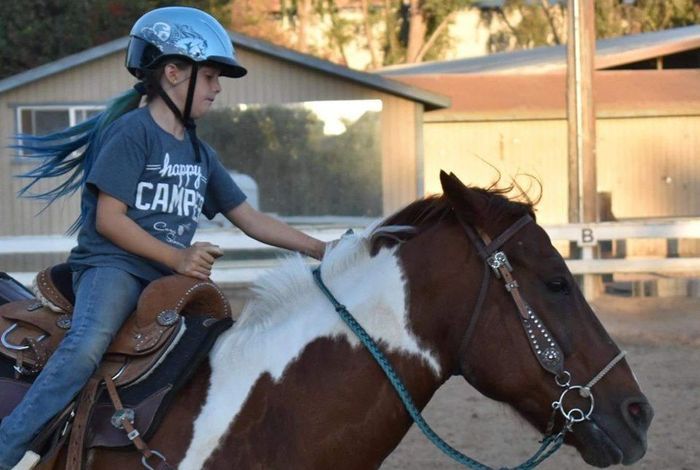 MKO Performance Horses - Kids activities in Trabuco Canyon, CA