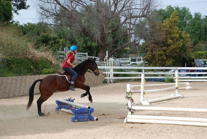 Mystic Canyon Stable - camps and birthday parties in Rolling Hills, CA