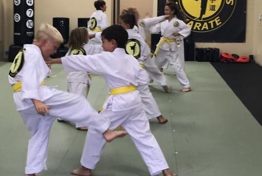 Ancient Ways Karate - birthday parties in Redondo Beach, Encinitas