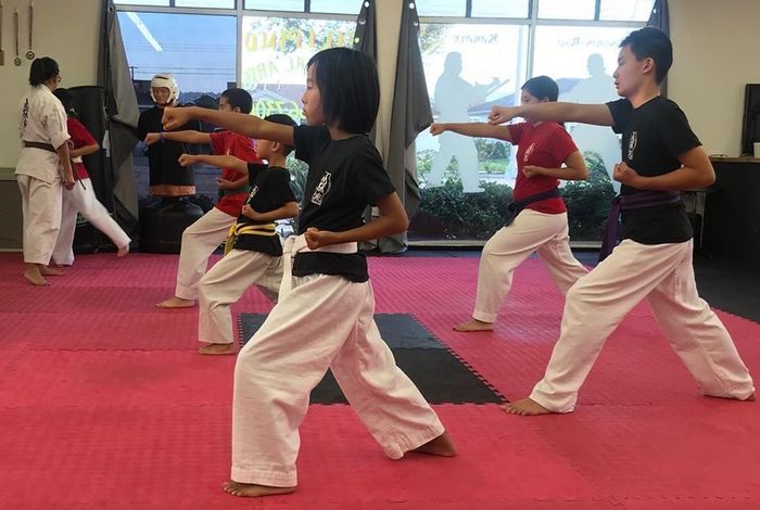Togisala Shorin Ryu Dojo - Kids activities in Torrance, CA