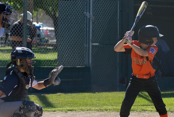 Concord American Little League - Kids activities in Concord, CA