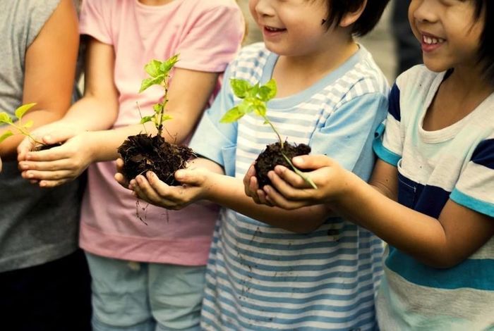 Livermore Valley Academy - camps and classes in Livermore, CA