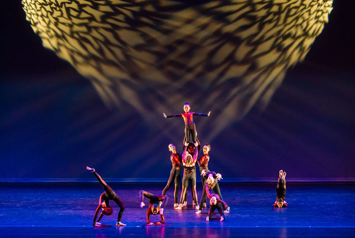 Soo Dance Academy - Kids activities in Danville, CA