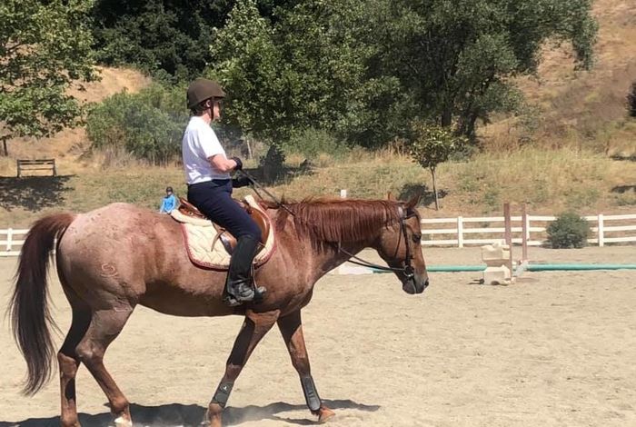 Graceland Equestrian Center - camps in Castro Valley, CA