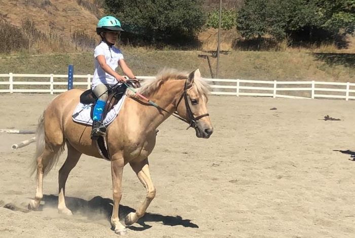 Graceland Equestrian Center - camps in Castro Valley, CA