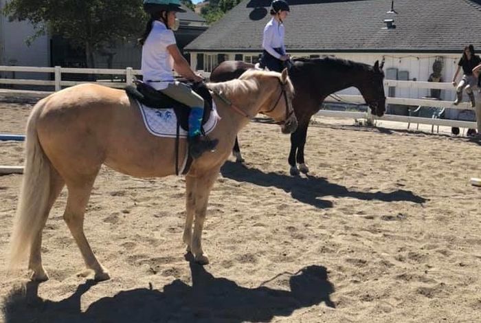 Graceland Equestrian Center - camps in Castro Valley, CA