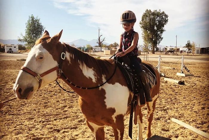 Marsh Creek Stables - Kids activities in Brentwood, CA