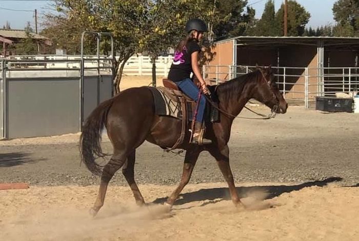 Marsh Creek Stables - Kids activities in Brentwood, CA