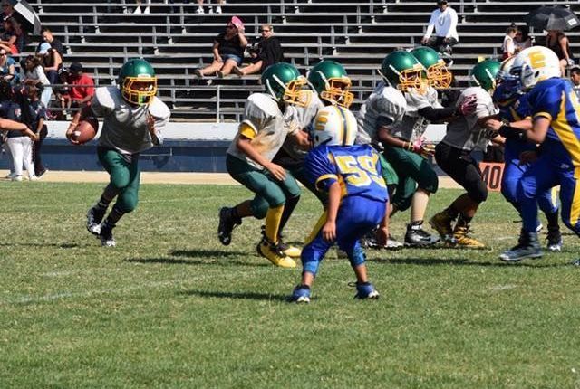 Milpitas Knights - Kids activities in Milpitas, CA