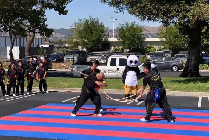Thunder Kungfu Academy - Kids activities in Fremont, Dublin