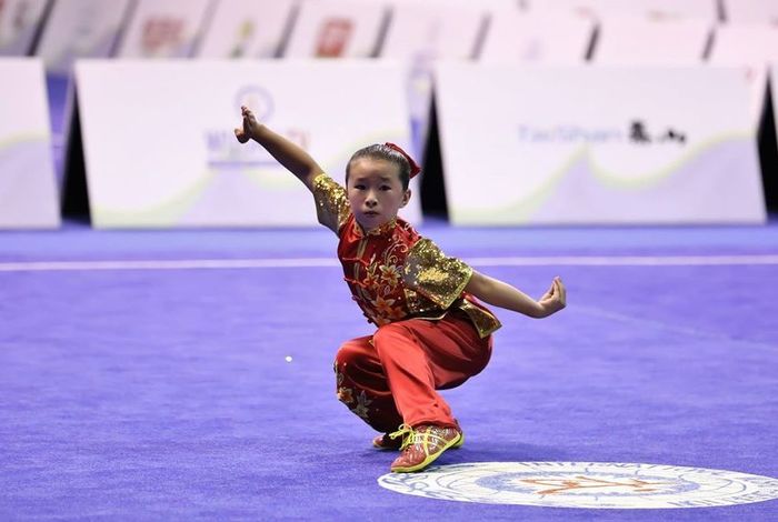 Elite Kung Fu Learning Academy - Kids activities in Fremont, CA