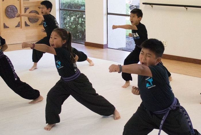 Zhang Kung Fu Institute - Kids activities in Union City, CA