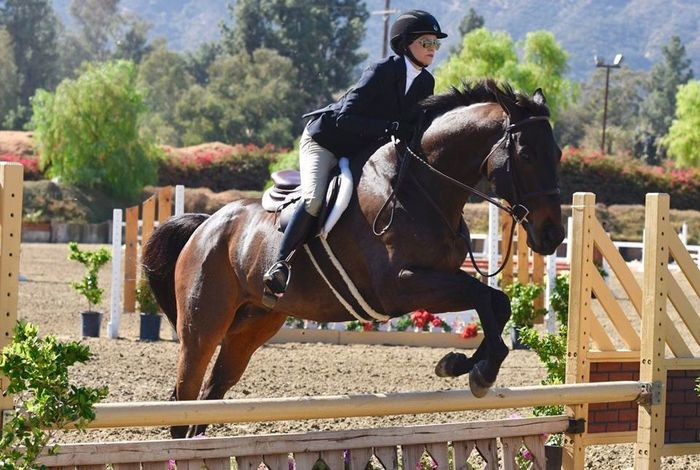 Shadowbrook Stables - Kids activities in Moorpark, CA