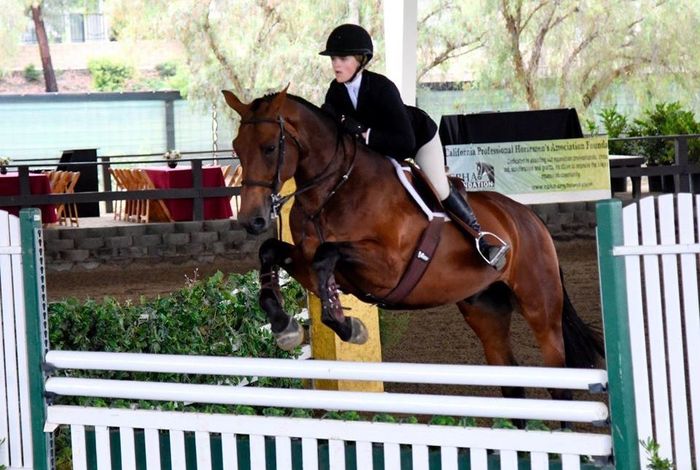 Shadowbrook Stables - Kids activities in Moorpark, CA