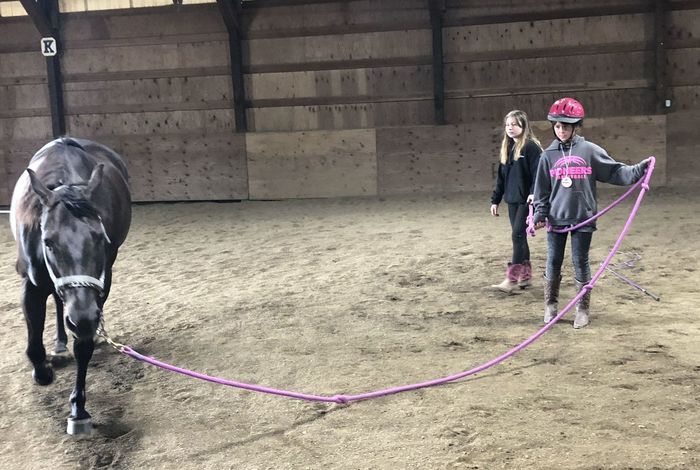 Amethyst Performance Horses - camps in Oregon City