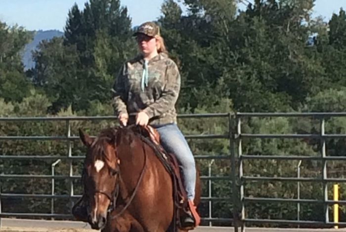 Amethyst Performance Horses - camps in Oregon City
