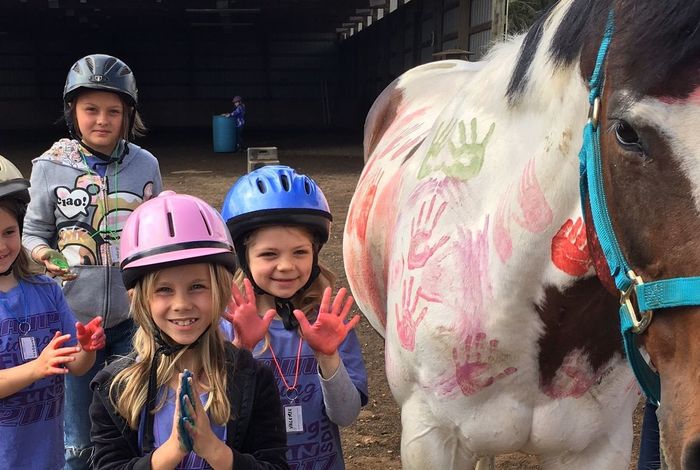 Amethyst Performance Horses - camps in Oregon City