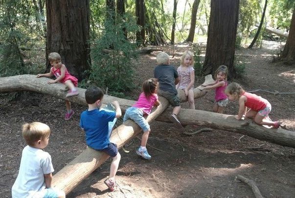 Chico Creek Nature Center - camps and classes in Chico, CA