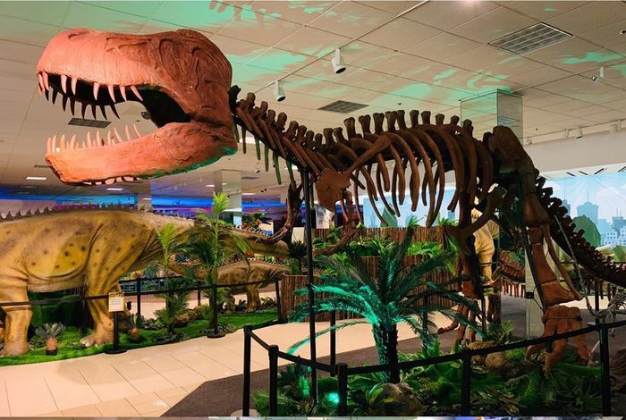 Wonder of Dinosaurs - birthday parties in Redondo Beach, CA