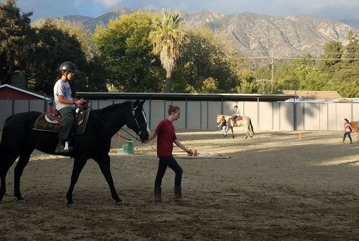 Altadena Stables - camps in Altadena, CA