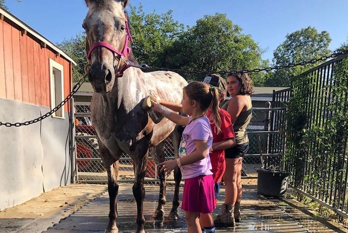 Altadena Stables - camps in Altadena, CA