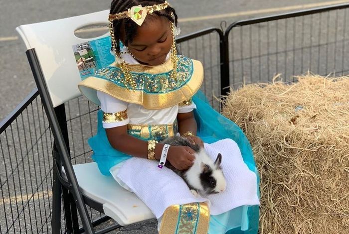 Cute & Cuddlee Mobile Petting Zoo  - birthday parties in Foster City, CA
