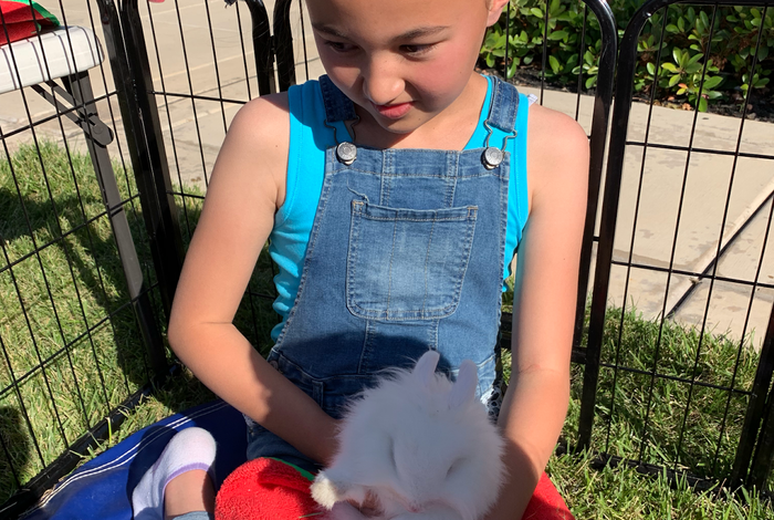Cute & Cuddlee Mobile Petting Zoo  - birthday parties in Foster City, CA