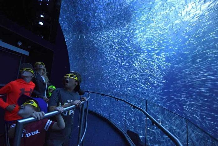 National Geographic Encounter: Ocean Odyssey - Kids activities in New York, NY