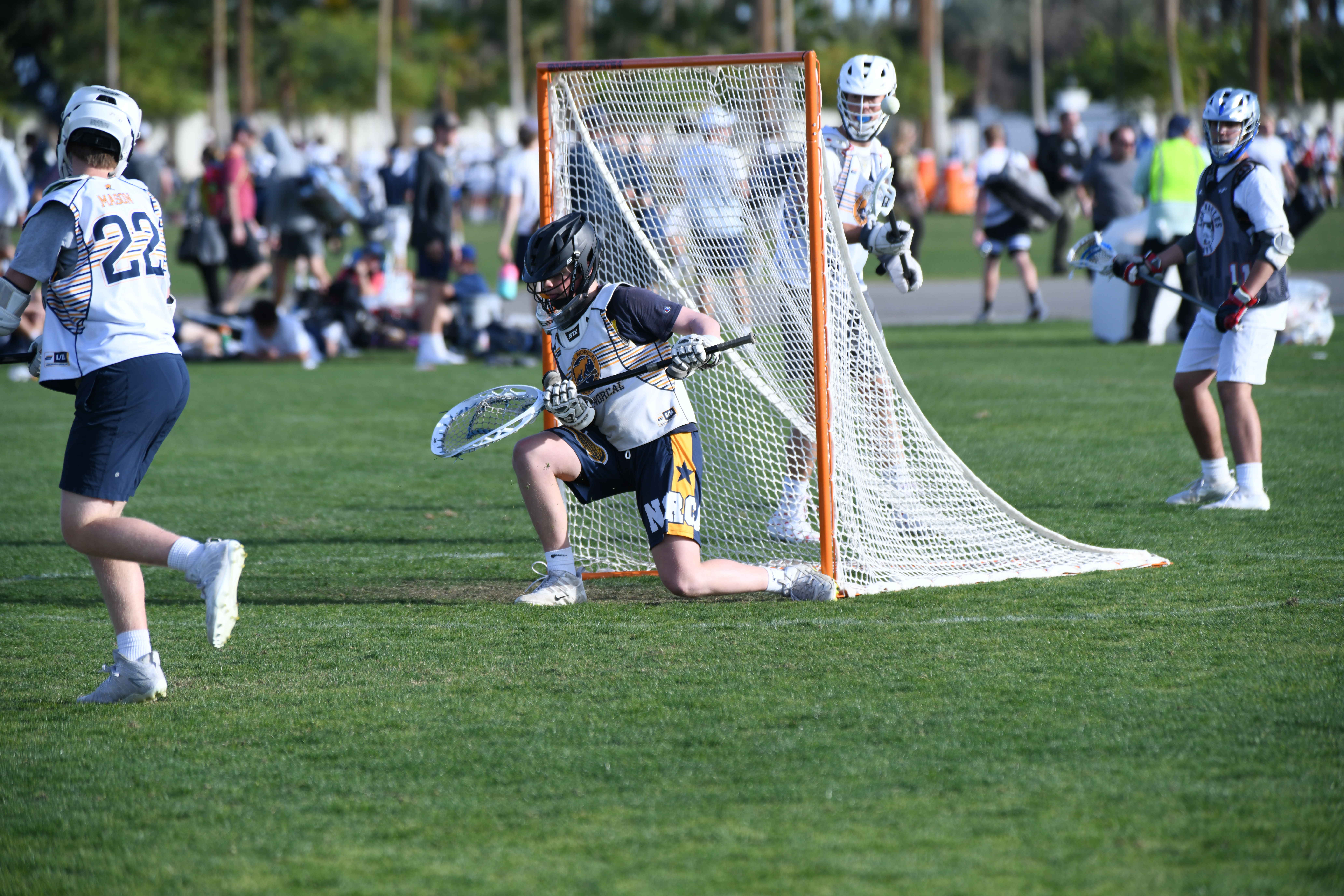 Lacrosse Summer Day Camps By Team Norcal Lacrosse Llc Palo Alto Ca Dates Availability Activityhero