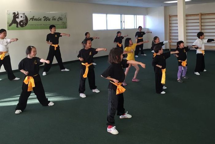 Amin Wu Tai Chi - Millbrae - Kids activities in Millbrae, CA