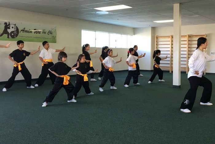 Amin Wu Tai Chi - Millbrae - Kids activities in Millbrae, CA