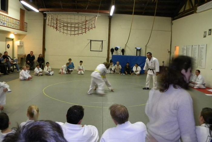Seika Ryu Martial Arts - Kids activities in Santa Rosa, CA