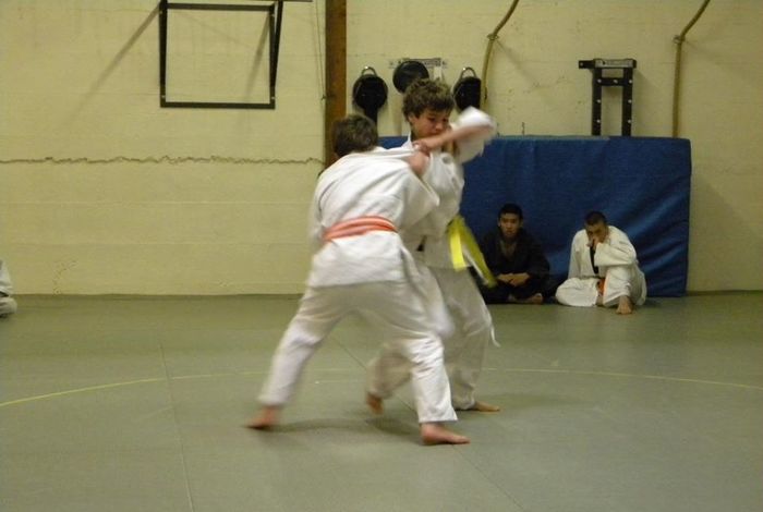 Seika Ryu Martial Arts - Kids activities in Santa Rosa, CA