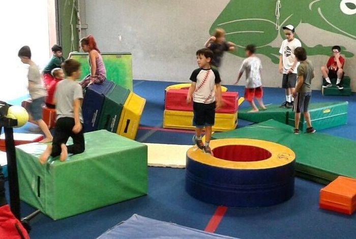 Flying Frog Academy - camps in Rohnert Park, CA