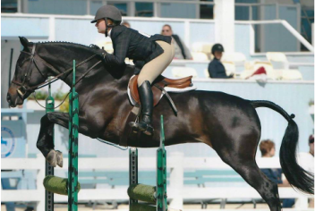 Heberle Stables - Kids activities in Rochester, NY