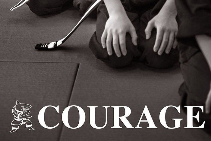 Action Karate - camps and classes in Feasterville-Trevose, PA