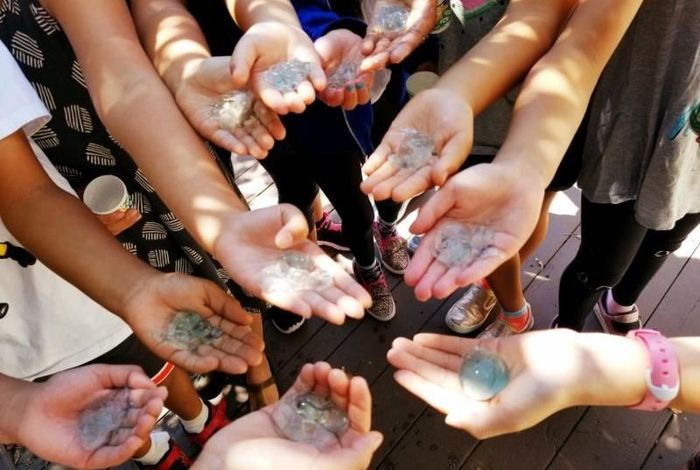 Total Learning Education - camps and classes in Diamond Bar, CA