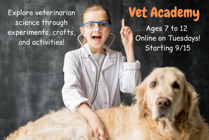The Dreamers Academy - Kids activities in Silver Spring, Dreamers academy, Gaithersburg