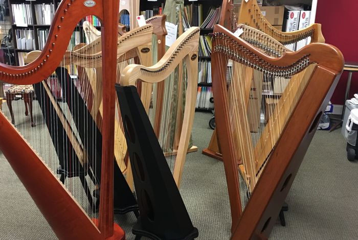 Harps Etc. - Kids activities in Walnut Creek, CA
