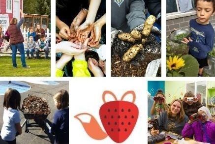Foxberry Education - Kids activities in Seattle, WA
