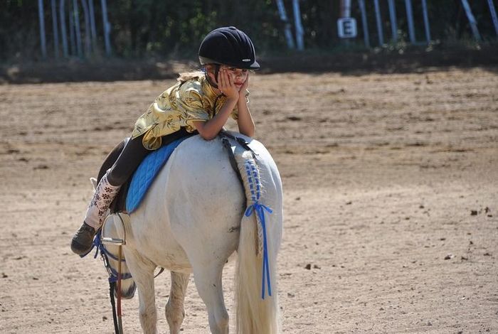 Free Heart Stables - Kids activities in San Jose, CA