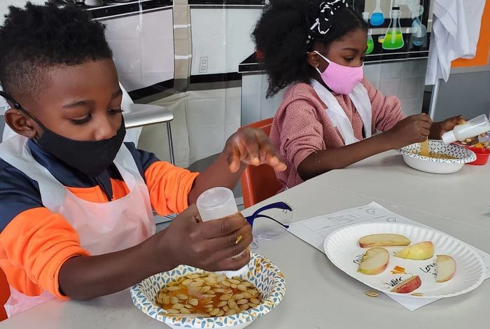 The STEM Lab - camps, classes and birthday parties in Cincinnati, OH
