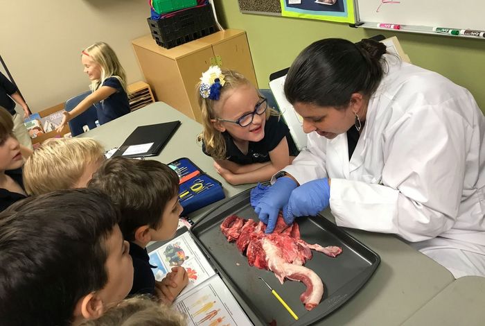 Katy Classical Academy - Kids activities in Katy, TX